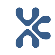 Logo VCN Group, Inc.