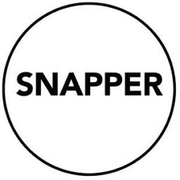 Logo Snapper Net Solutions AS