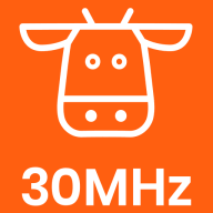 Logo 30MHz BV