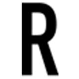 Logo REBIRTHNET, Inc.