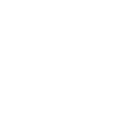 Logo Pilatus Capital LLC